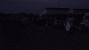 sennosen surf sennosen GIF