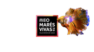 Festival Musica Sticker by MOCHE