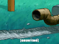 season 5 GIF by SpongeBob SquarePants