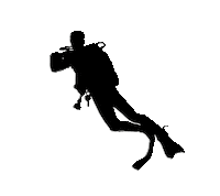 Bluewatersafaris liveaboard bluewater safaris independence 2 independence 3 Sticker