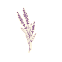 Illustration Spring Sticker by K. Hall Studio