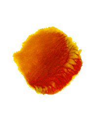 Art Loop Sticker by ANIFILM