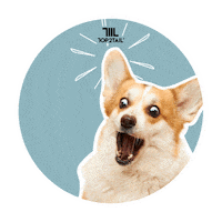 Heart Love Sticker by Top2Tail