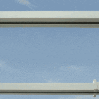 fun love GIF by Carnival Cruise Line