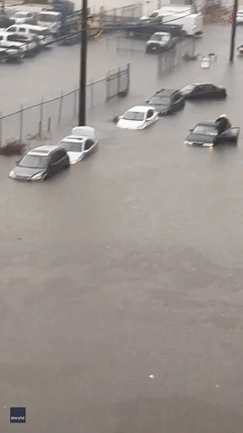 Man Climbs Through Window to Leave Vehicle Stranded in Floodwater