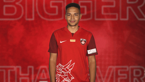 Vbl GIF by Bundesliga