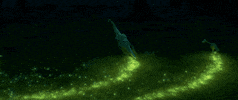 disney pixar family GIF by Disney