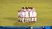 GIF by Stanford Athletics