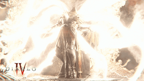 Rejected Video Game GIF by Diablo