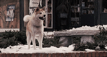 get to know me meme GIF