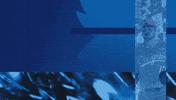 Creighton Bluejays GIF by Creighton University Athletics