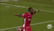 Celebration GIF by Cliftonville Football Club