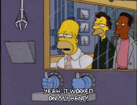 homer simpson GIF