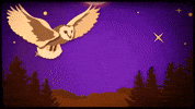 Flying Taylor Hanson GIF by HANSON