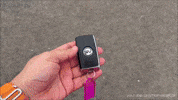 Driving Lets Go GIF by Namaste Car