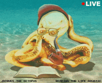 Explore Pop Art GIF by Xinanimodelacra