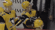 Ice Hockey GIF by NHL