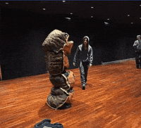 James Turtle GIF