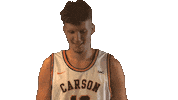 Pingpong Cnmb Sticker by Carson-Newman Athletics