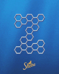 Letter Alphabet GIF by Sheba Official