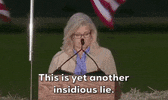 Liz Cheney Wyoming GIF by GIPHY News
