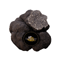 Tartufo Blacktruffle Sticker by Diamante Tartufi