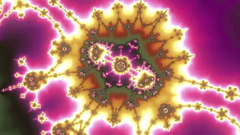 Art Bollywood GIF by xponentialdesign