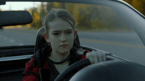 driving road trip GIF by The Detour