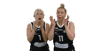 Naisten Korisliiga Sticker by Basket_fi