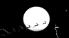 Tim Burton Art GIF by hoppip