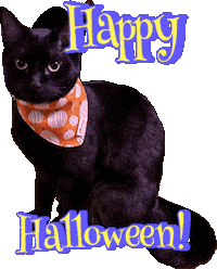 Black Cat Sticker by Rod Kim