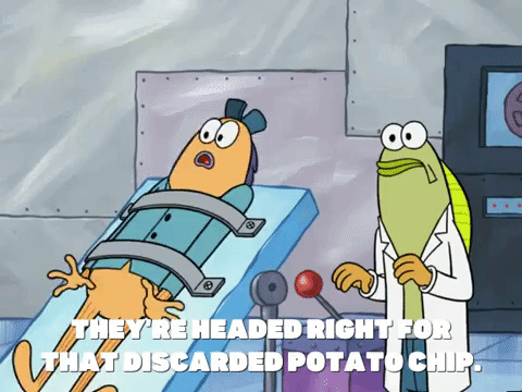 season 6 boating buddies GIF by SpongeBob SquarePants