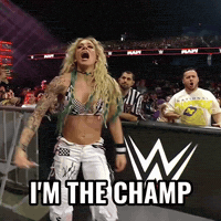 Yell Wwe Champion GIF