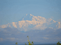 You Can Wow GIF by FranchiseONE.de