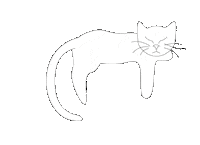 White Cat Sticker