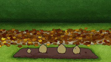 scared halloween GIF by Sarah & Duck