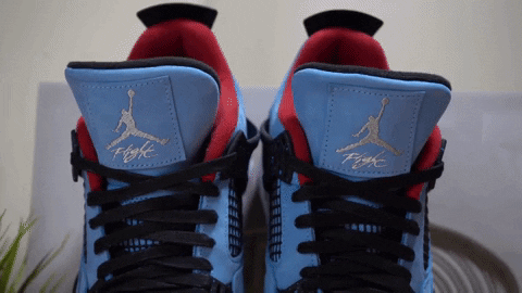 daswewda giphyupload GIF