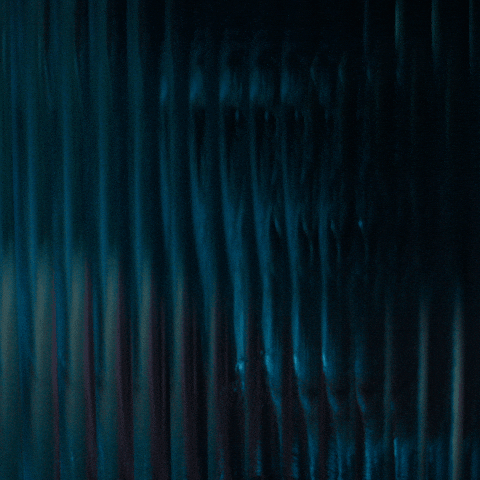 Monkey Chimp GIF by Primate Movie