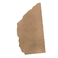 Paper Sticker by Raquel Israel