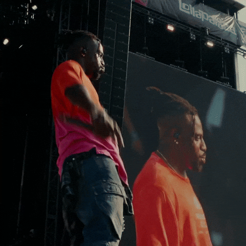 Chicago Illinois GIF by Respective