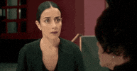 la casa de las flores GIF by netflixlat