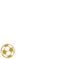 Football Celebrate Sticker by KleinerSpatzWesterstetten