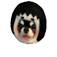 Dog Chihuahua Sticker