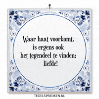 Respect Nl GIF by Tegelspreuken.nl