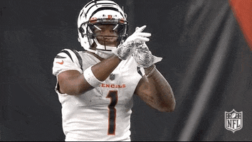 National Football League GIF by NFL