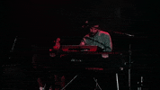 polyvinylrecords keyboard live music maracas generationals GIF