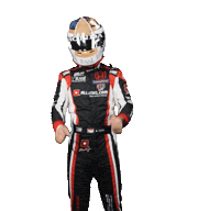 Attila Tassi Wtcr Sticker by FIA World Touring Car Cup