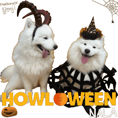 Trick Or Treat Halloween Sticker