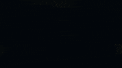 3D Flower GIF by SuperRareBears