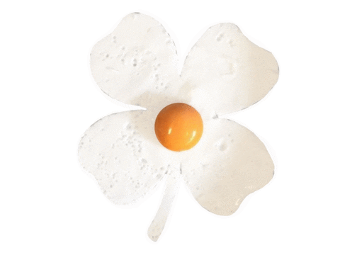 eggs irish Sticker by The Eggshibit